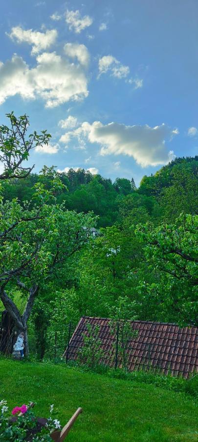 Apartma B & O Idrija Esterno foto