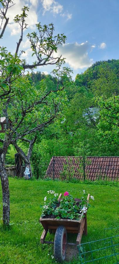 Apartma B & O Idrija Esterno foto